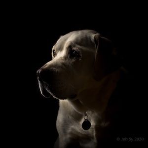 Meet your Posher, Linda